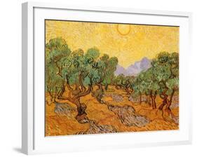 Sun over Olive Grove, 1889-Vincent van Gogh-Framed Giclee Print