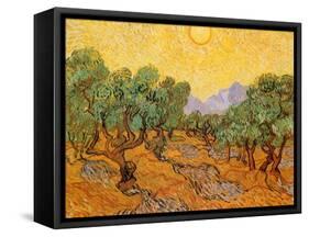 Sun over Olive Grove, 1889-Vincent van Gogh-Framed Stretched Canvas