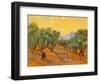 Sun over Olive Grove, 1889-Vincent van Gogh-Framed Giclee Print