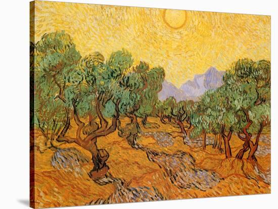 Sun over Olive Grove, 1889-Vincent van Gogh-Stretched Canvas