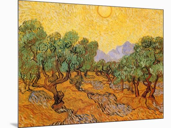 Sun over Olive Grove, 1889-Vincent van Gogh-Mounted Giclee Print