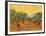 Sun over Olive Grove, 1889-Vincent van Gogh-Framed Giclee Print