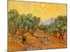 Sun over Olive Grove, 1889-Vincent van Gogh-Mounted Giclee Print