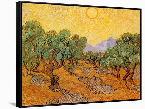 Sun over Olive Grove, 1889-Vincent van Gogh-Framed Stretched Canvas