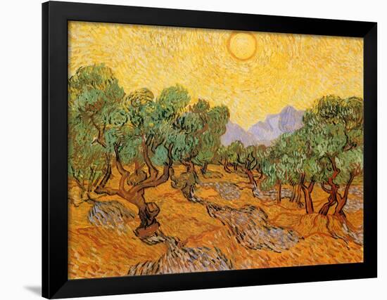 Sun over Olive Grove, 1889-Vincent van Gogh-Framed Giclee Print