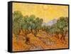 Sun over Olive Grove, 1889-Vincent van Gogh-Framed Stretched Canvas