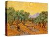 Sun over Olive Grove, 1889-Vincent van Gogh-Stretched Canvas