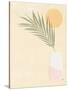 Sun Palm II Blush-Moira Hershey-Stretched Canvas