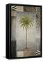 Sun Palm II-Michael Marcon-Framed Stretched Canvas