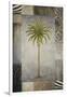 Sun Palm II-Michael Marcon-Framed Art Print