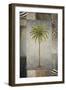 Sun Palm II-Michael Marcon-Framed Art Print