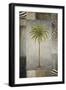 Sun Palm II-Michael Marcon-Framed Art Print