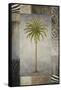 Sun Palm II-Michael Marcon-Framed Stretched Canvas