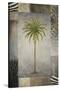 Sun Palm II-Michael Marcon-Stretched Canvas