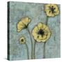 Sun Poppies II-Jennifer Goldberger-Stretched Canvas