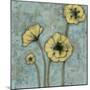 Sun Poppies II-Jennifer Goldberger-Mounted Art Print