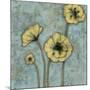 Sun Poppies II-Jennifer Goldberger-Mounted Premium Giclee Print