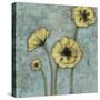 Sun Poppies II-Jennifer Goldberger-Stretched Canvas