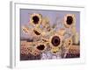 Sun Queen, 1995-Lillian Delevoryas-Framed Giclee Print