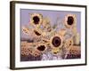 Sun Queen, 1995-Lillian Delevoryas-Framed Giclee Print