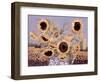 Sun Queen, 1995-Lillian Delevoryas-Framed Giclee Print