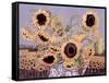 Sun Queen, 1995-Lillian Delevoryas-Framed Stretched Canvas