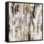 Sun Rays BW-Silvia Vassileva-Framed Stretched Canvas