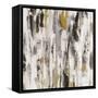 Sun Rays BW-Silvia Vassileva-Framed Stretched Canvas