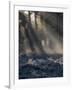 Sun rays illuminate a winter forest landscape-Charles Bowman-Framed Photographic Print