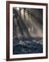 Sun rays illuminate a winter forest landscape-Charles Bowman-Framed Photographic Print