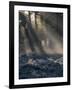 Sun rays illuminate a winter forest landscape-Charles Bowman-Framed Photographic Print