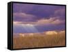 Sun Rays in the Afternoon Storm Clouds, Maasai Mara, Kenya-Joe Restuccia III-Framed Stretched Canvas