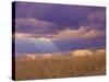 Sun Rays in the Afternoon Storm Clouds, Maasai Mara, Kenya-Joe Restuccia III-Stretched Canvas