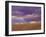 Sun Rays in the Afternoon Storm Clouds, Maasai Mara, Kenya-Joe Restuccia III-Framed Photographic Print