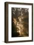 Sun rays shining between trees in foggy autumn morning-Paivi Vikstrom-Framed Photographic Print