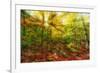 Sun Rays through the Autumn Leaves-SHS Photography-Framed Photographic Print