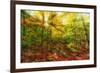 Sun Rays through the Autumn Leaves-SHS Photography-Framed Photographic Print