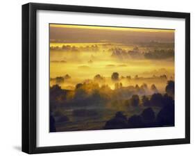 Sun Rise Over the Bryansk Forest, Bryansky Les Zapovednik, Russia-Igor Shpilenok-Framed Photographic Print