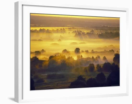 Sun Rise Over the Bryansk Forest, Bryansky Les Zapovednik, Russia-Igor Shpilenok-Framed Photographic Print