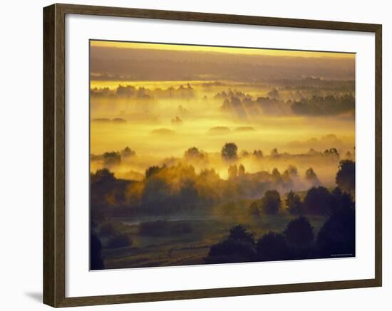 Sun Rise Over the Bryansk Forest, Bryansky Les Zapovednik, Russia-Igor Shpilenok-Framed Photographic Print