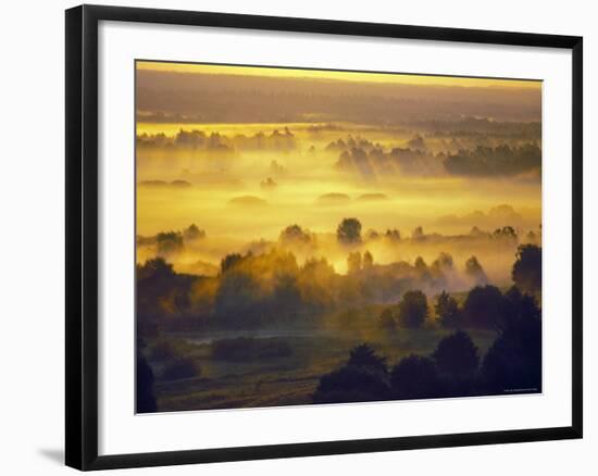 Sun Rise Over the Bryansk Forest, Bryansky Les Zapovednik, Russia-Igor Shpilenok-Framed Photographic Print