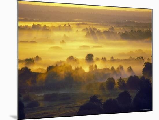 Sun Rise Over the Bryansk Forest, Bryansky Les Zapovednik, Russia-Igor Shpilenok-Mounted Photographic Print