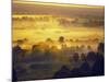 Sun Rise Over the Bryansk Forest, Bryansky Les Zapovednik, Russia-Igor Shpilenok-Mounted Photographic Print