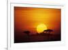 Sun Rising over Savannah, Masai Mara National Reserve, Kenya-Anup Shah-Framed Photographic Print