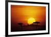 Sun Rising over Savannah, Masai Mara National Reserve, Kenya-Anup Shah-Framed Photographic Print