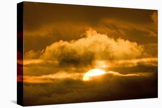 Sun Rising Through the Clouds at Dawn, ANWR, Alaska, USA-Steve Kazlowski-Stretched Canvas