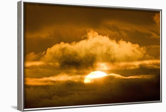 Sun Rising Through the Clouds at Dawn, ANWR, Alaska, USA-Steve Kazlowski-Framed Photographic Print