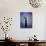 Sun's Halo Around Saguaro Cactus, Organ Pipe Cactus National Monument, Arizona, USA-Christopher Talbot Frank-Photographic Print displayed on a wall