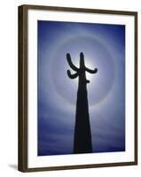 Sun's Halo Around Saguaro Cactus, Organ Pipe Cactus National Monument, Arizona, USA-Christopher Talbot Frank-Framed Photographic Print