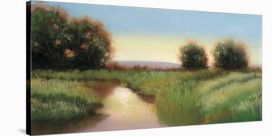 Sun's Up-Julie Peterson-Stretched Canvas